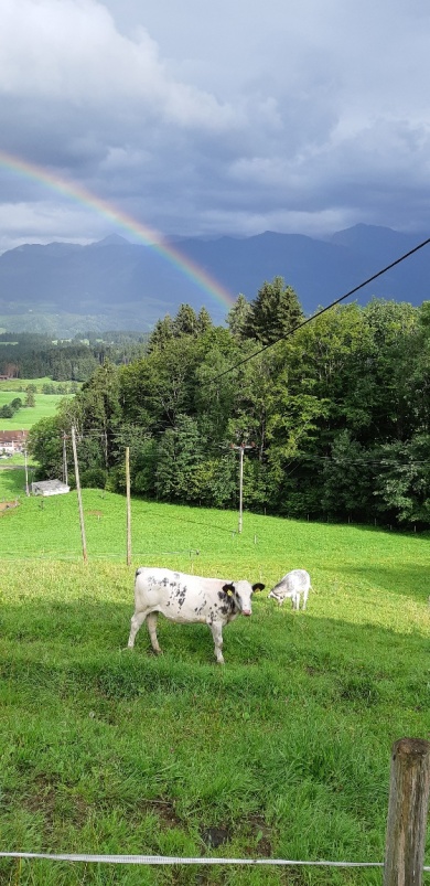 Galerie: Aktivitäten rund um den Skiclub - Jugendcamp im Allgäu (02.08.-06.08.2021)