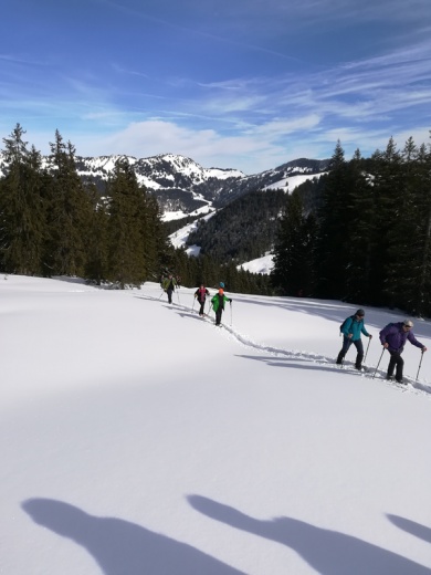 Galerie: Aktivitäten rund um den Skiclub - Schneeschuhwanderwochenende auf dem Gritthof (14.02.-16.02.2020)