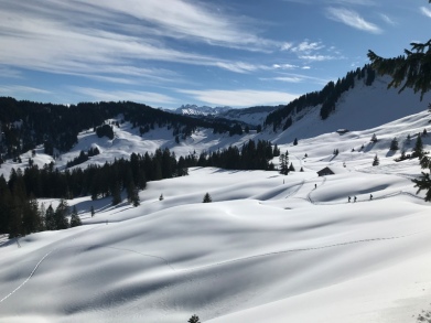 Galerie: Aktivitäten rund um den Skiclub - Schneeschuhwanderwochenende auf dem Gritthof (14.02.-16.02.2020)